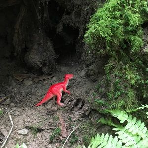 Meet your Posher, Annabelle